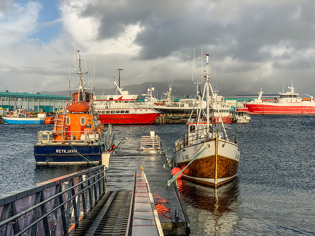 Reykjavik fishing boats