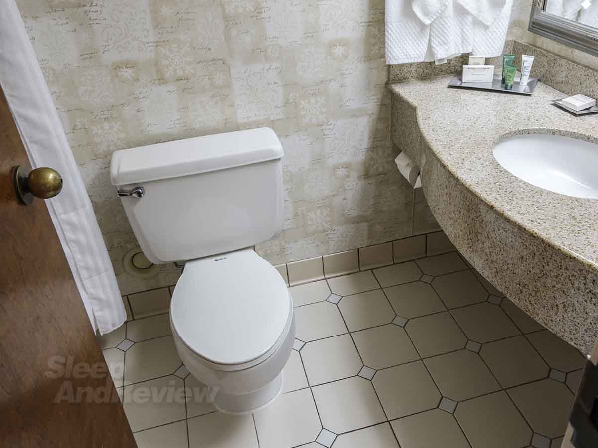 Knoxville Hilton toilet