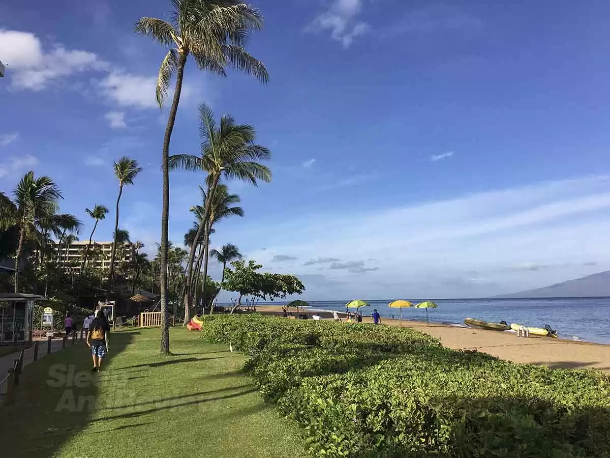What you need to know about the Westin Maui Resort & Spa, Ka'anapali