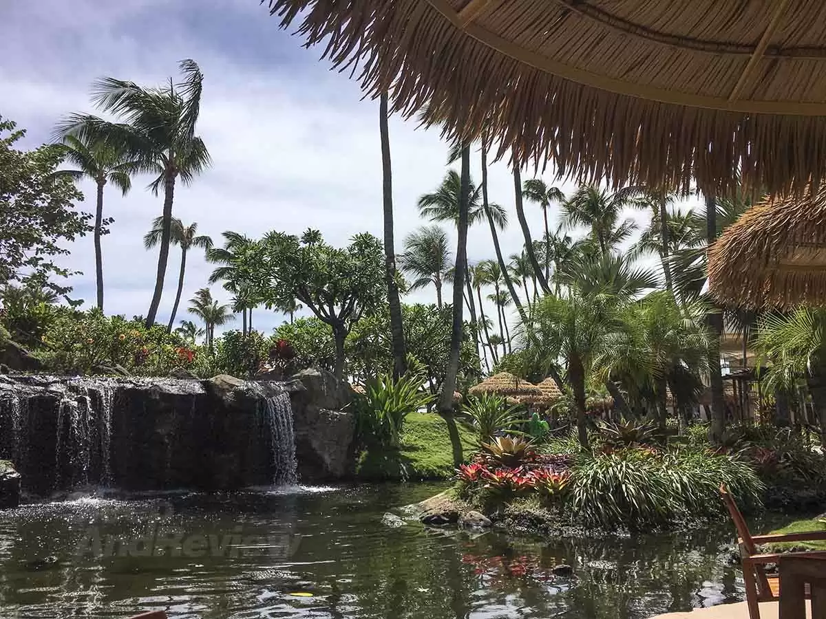 Tips for having the best experience at the Westin Maui (Ka'anapali)