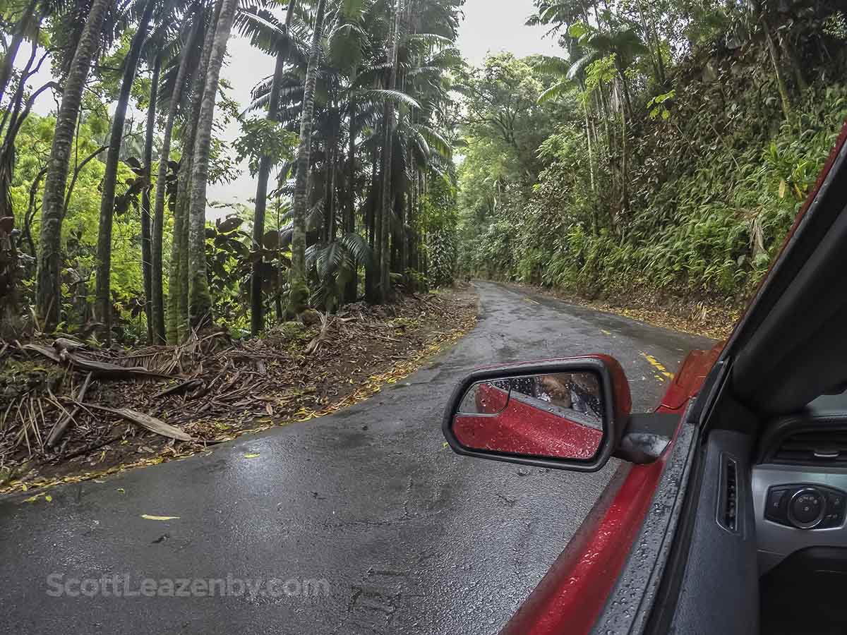 Driving through big island Hawaii jungle 