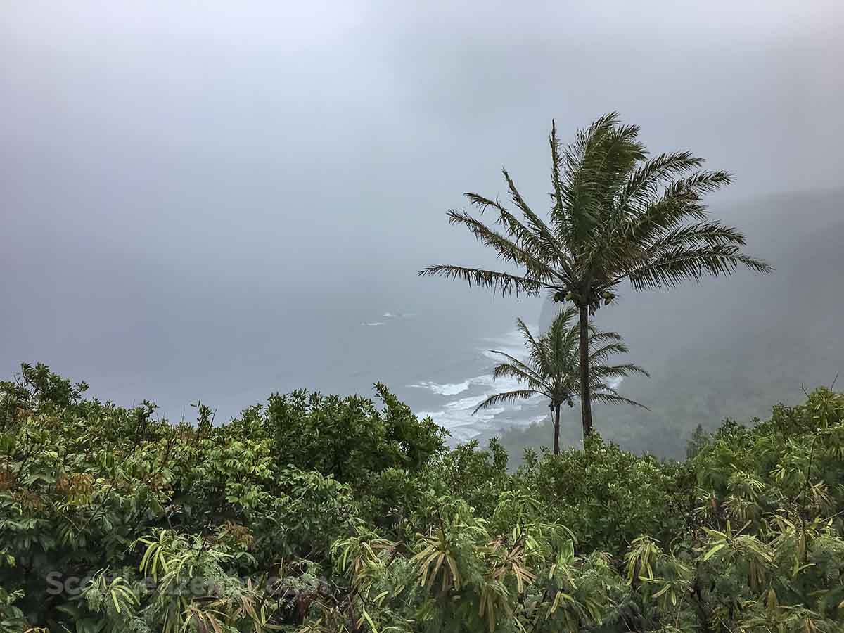 Rainy Hawaii shoreline 