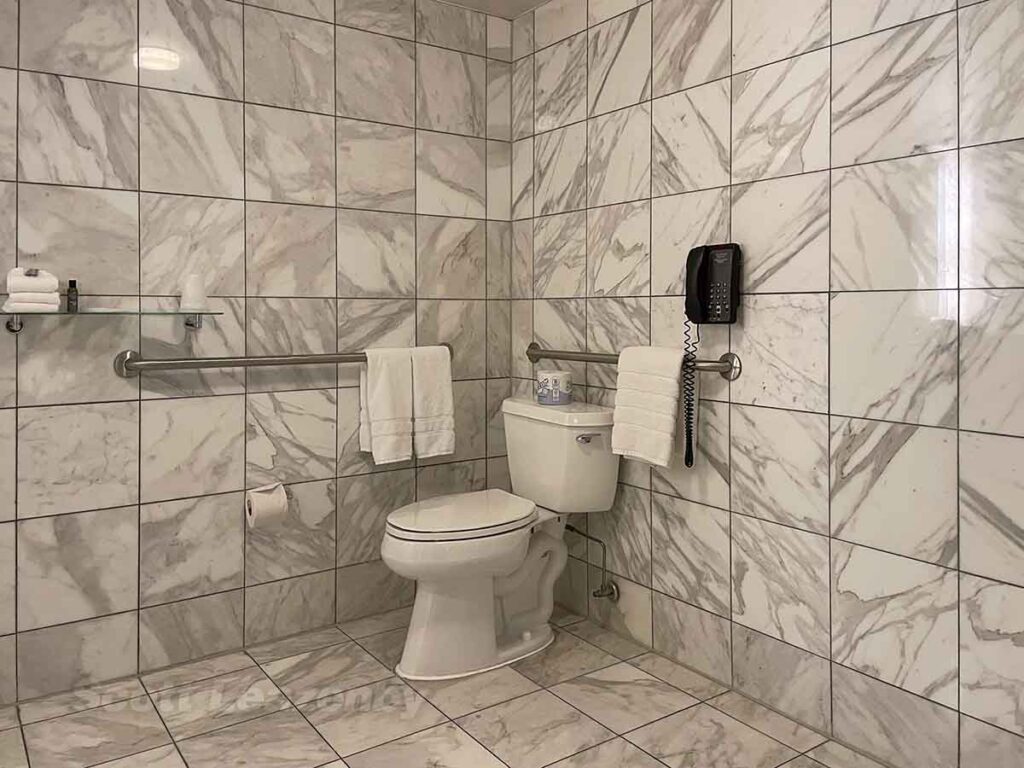 Westin dtw hospitality suite toilet