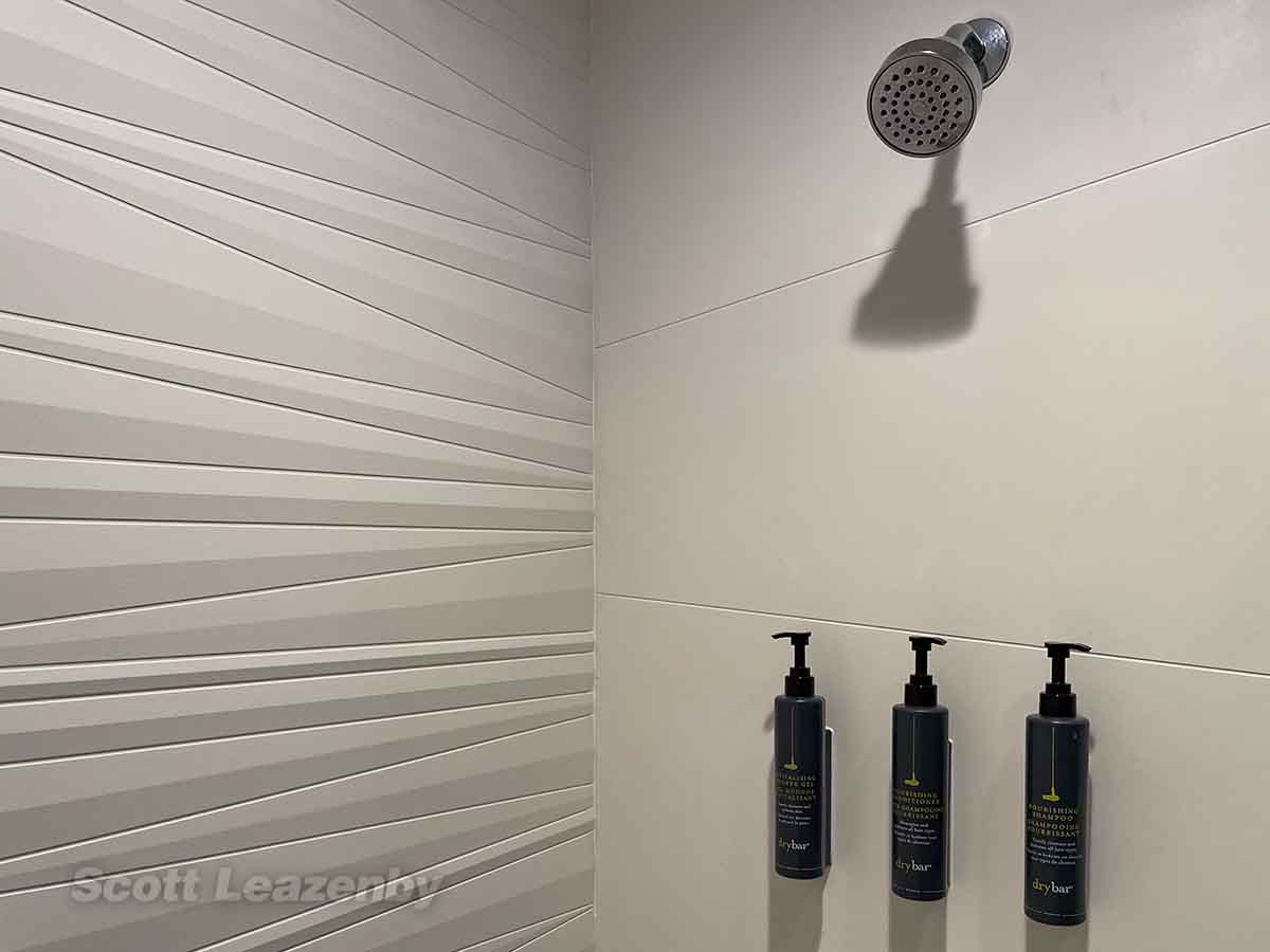 Showerhead, shampoo, conditioner, and body wash